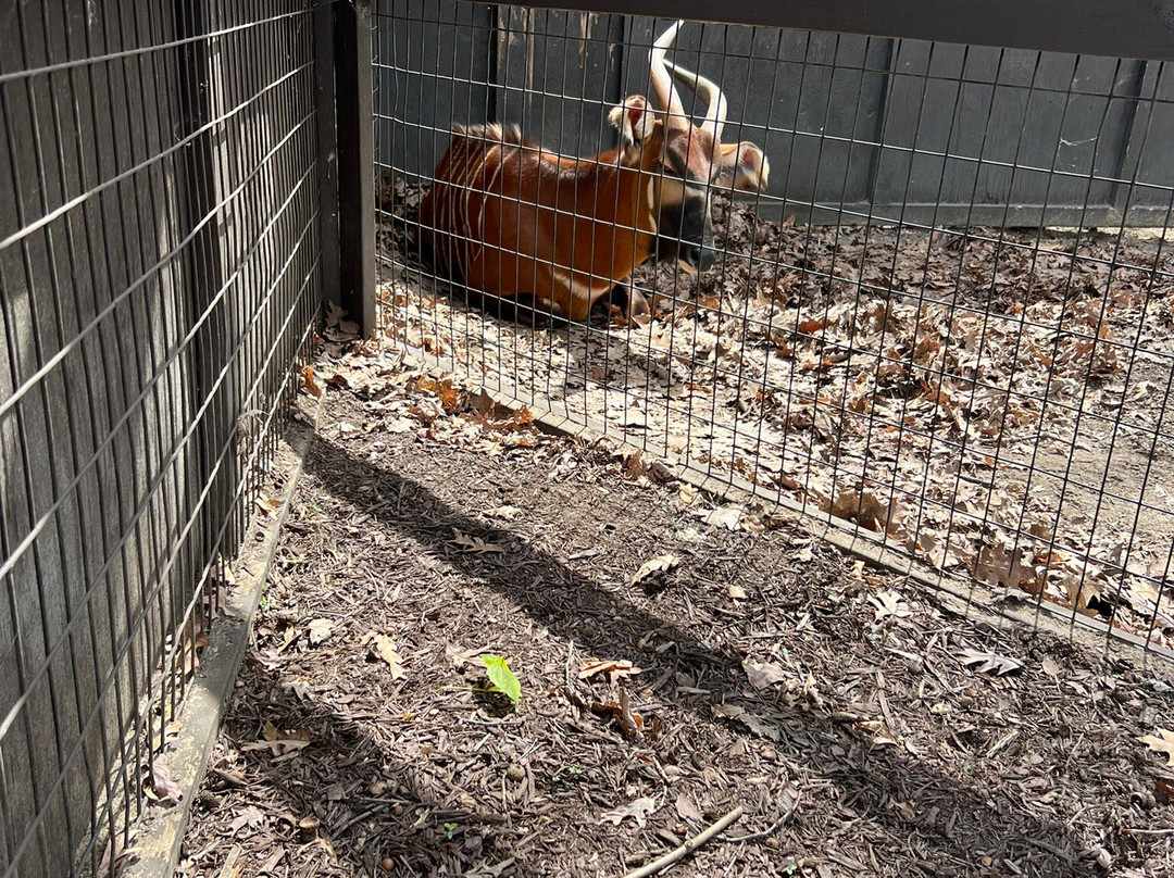 Potter Park Zoo-兰辛必去景点