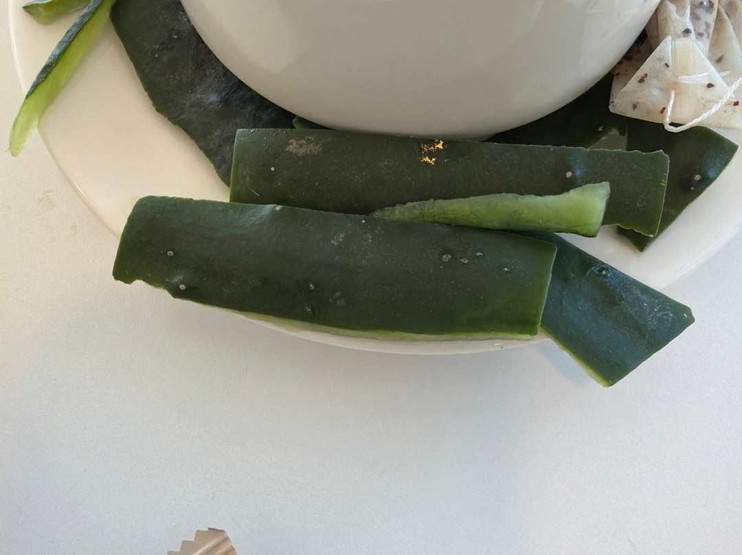 普拉亚索尔新阿尔加布酒店主图