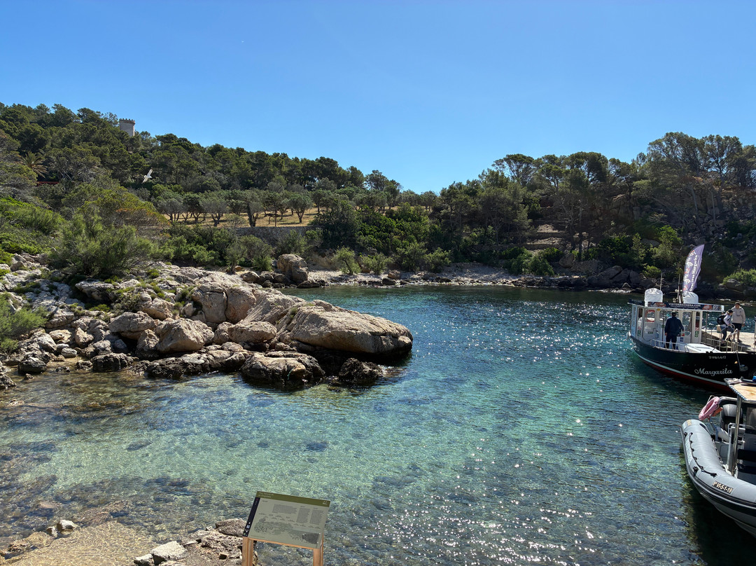 Wander Jürgen Mallorca