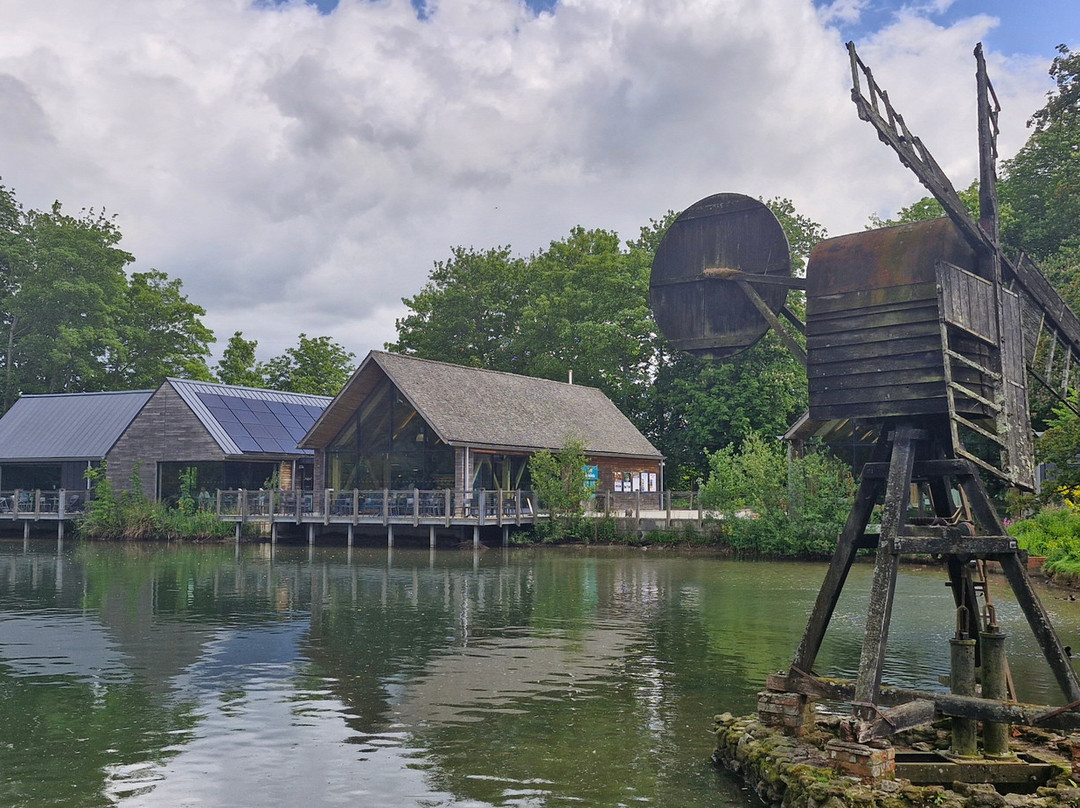 Weald & Downland Living Museum-Singleton必去景点