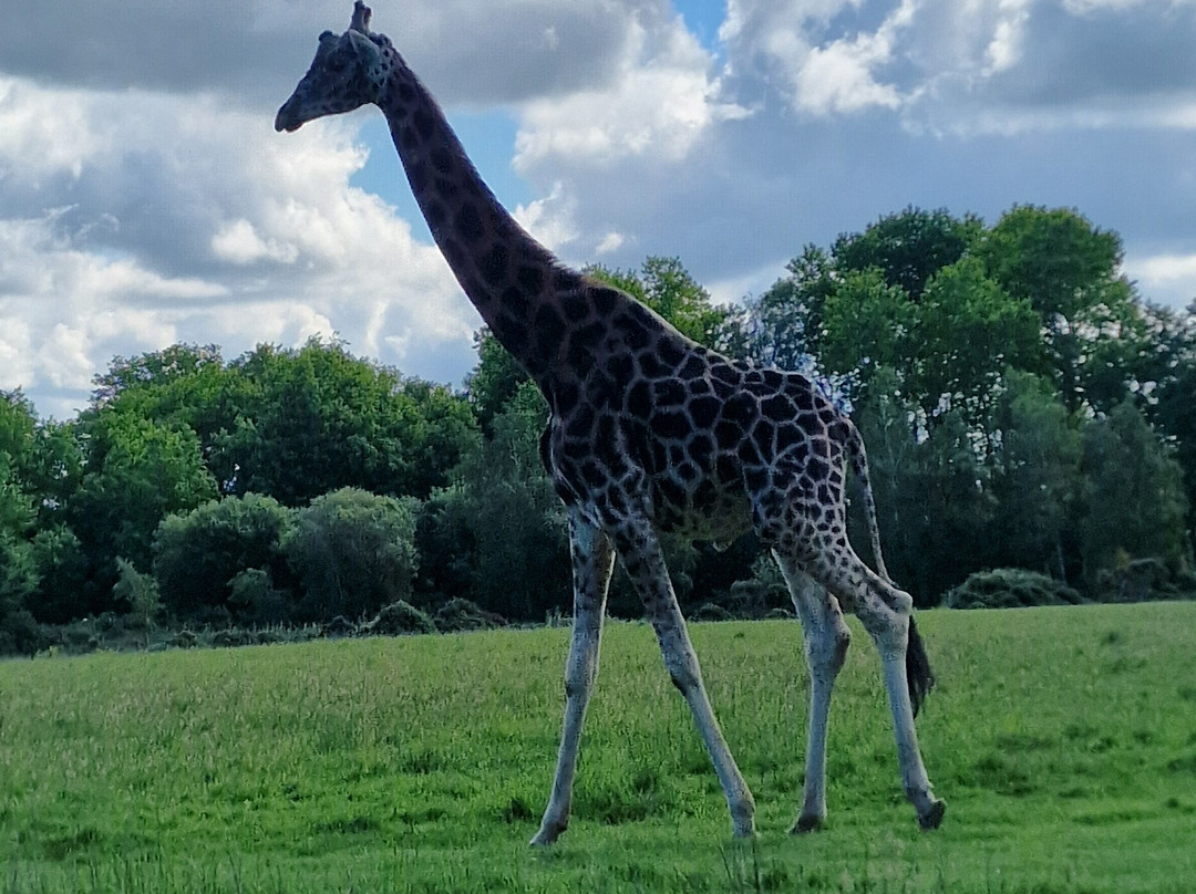 Parc Animalier et Botanique de Branféré-Le Guerno必去景点