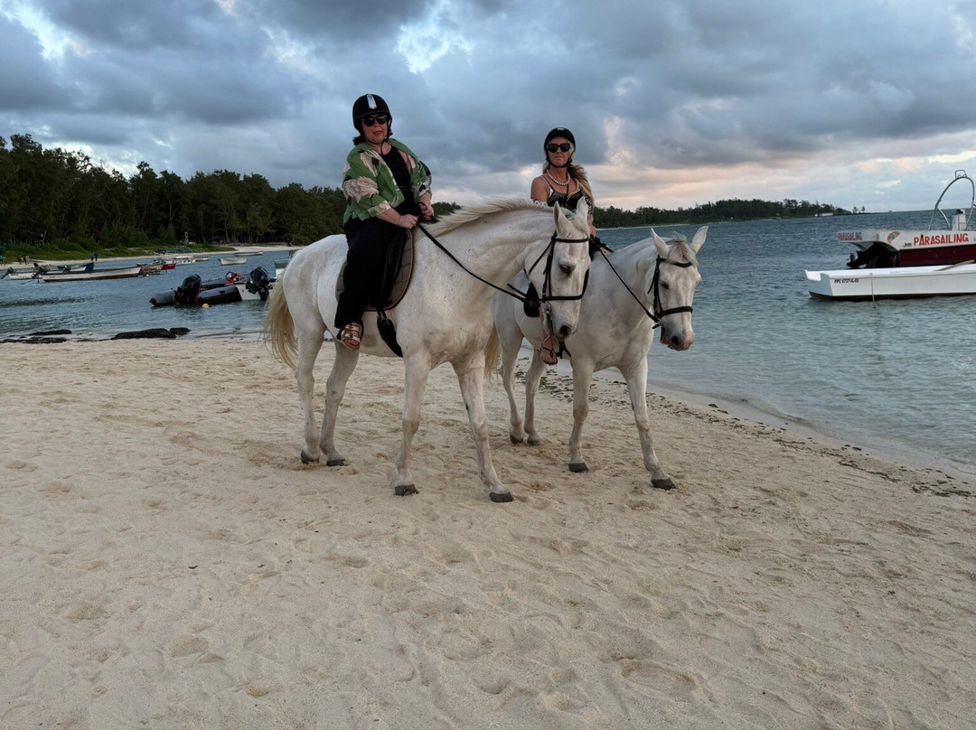 Legasea Stables Mauritius-Quatre Cocos必去景点