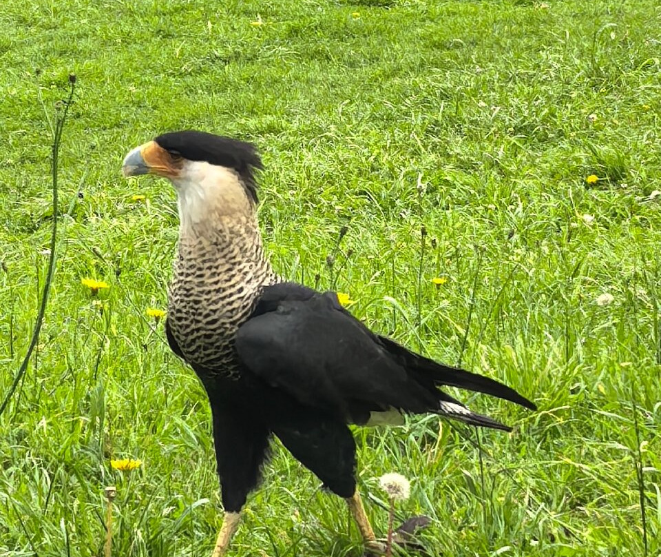 Bioparque La Reserva-Cota必去景点