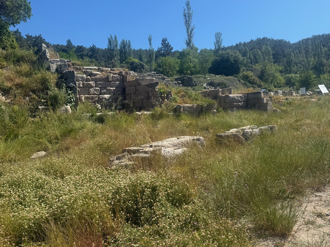Labranda Ruins-穆拉必去景点