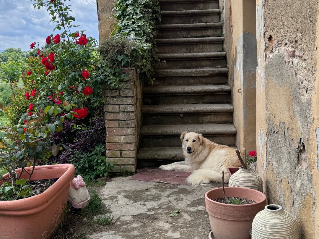 Fattoria Le Caprine-Gambassi Terme必去景点