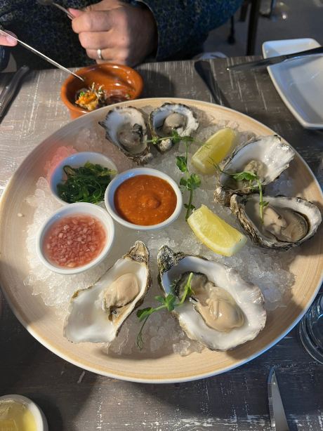 文斯勒德海菲尔酒店-旅行者