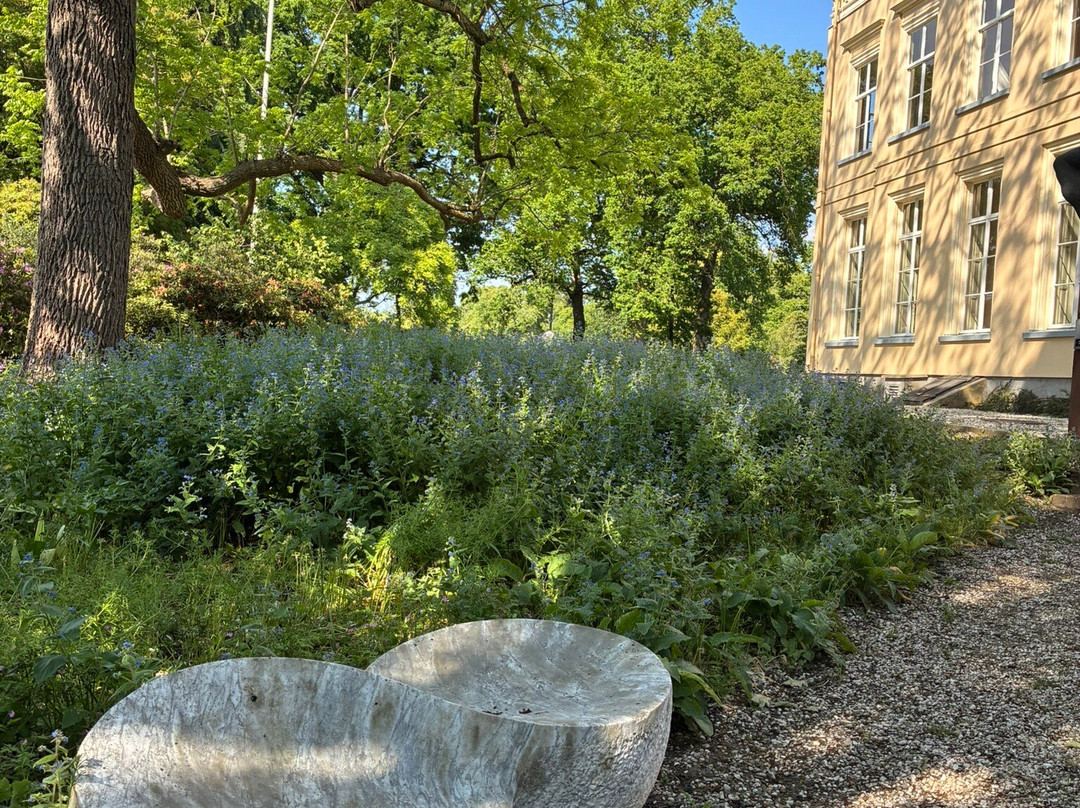 Arboretum Hinkeloord Wageningen-瓦赫宁恩必去景点