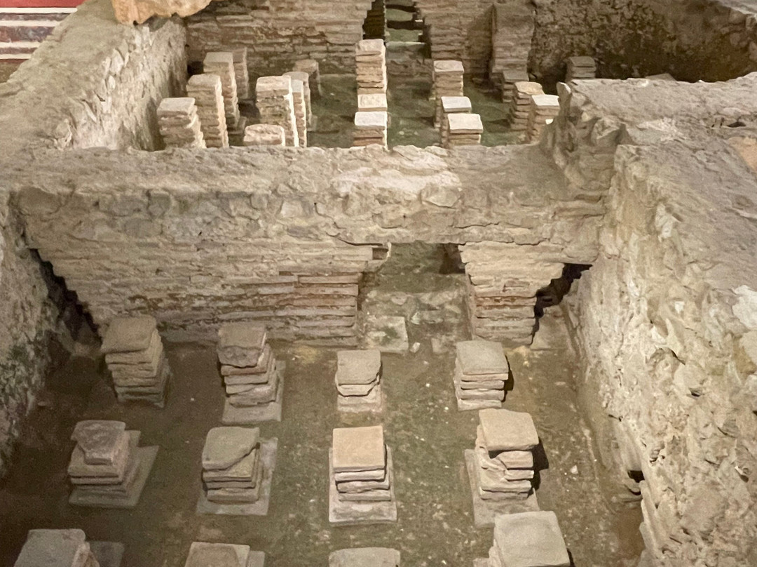 Newport Roman Villa-纽波特必去景点