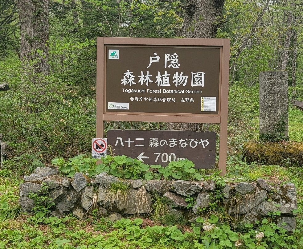 Togakushi Shrine-长野县必去景点