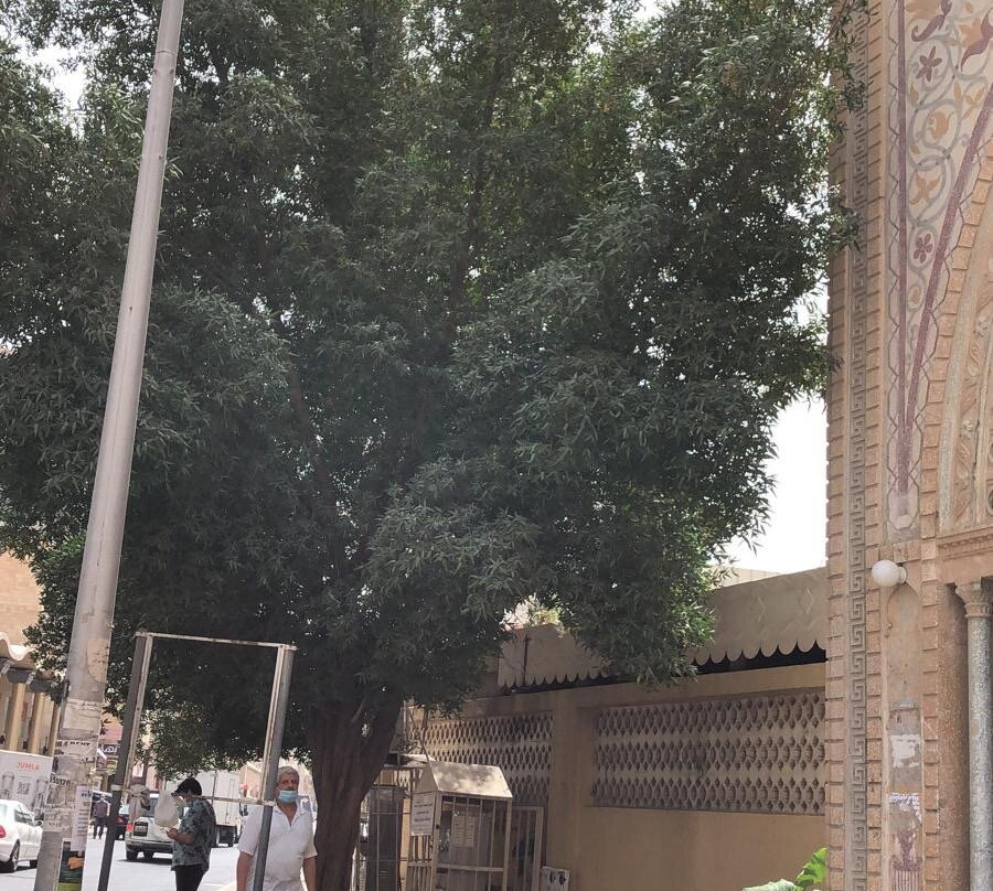 Abdullah A Al- Othman Mosque-Hawalli必去景点
