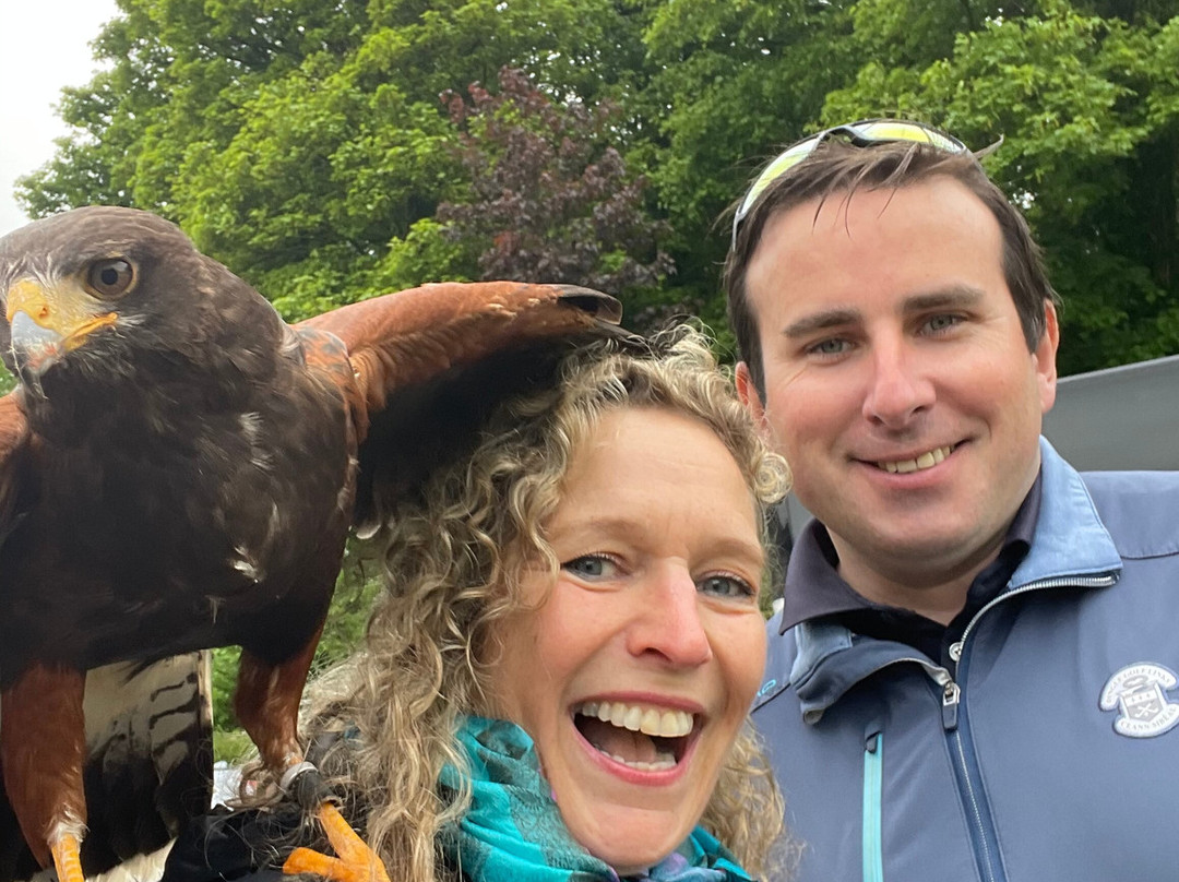 Mayfield Birds of Prey-Kilmacthomas必去景点