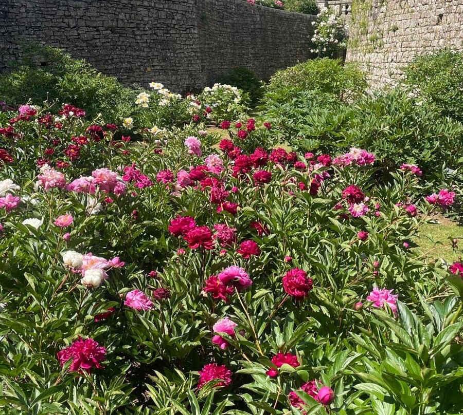 Chateau de Sourches-Saint-Symphorien必去景点