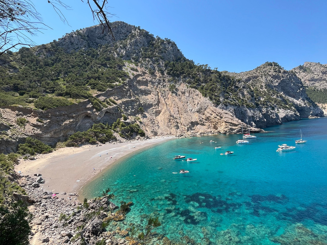 Platja Des Coll Baix-阿库迪亚必去景点