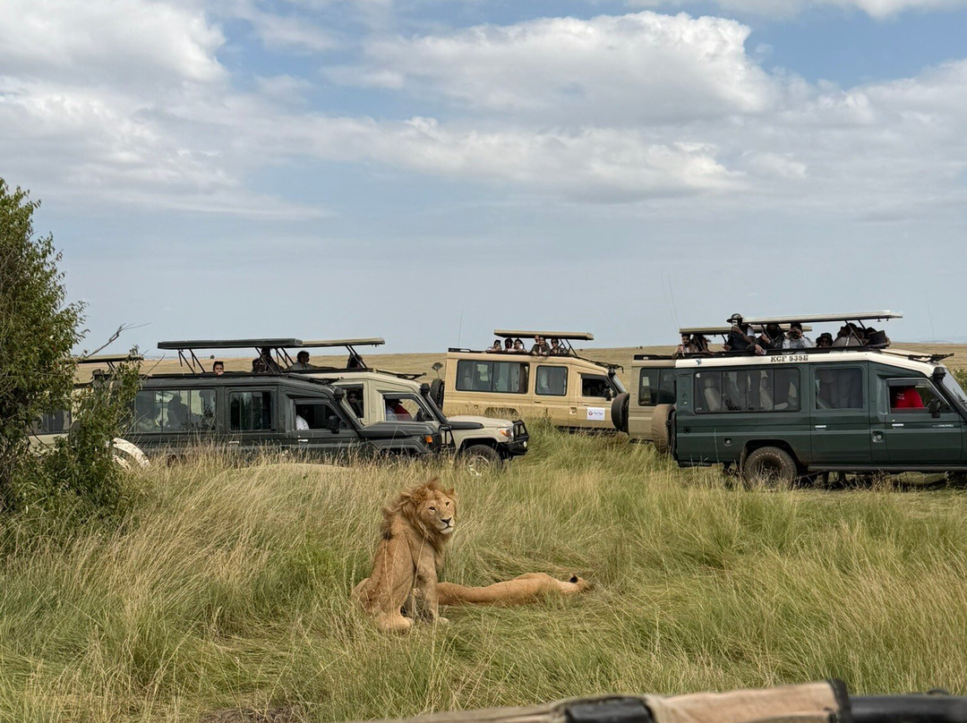 African Kismat Expeditions-Ruiru必去景点
