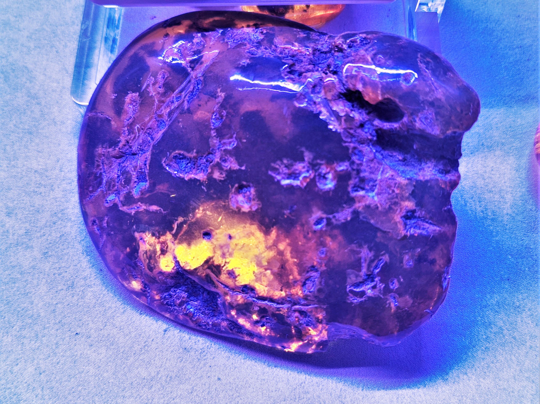 Amber World Museum-圣多明哥必去景点