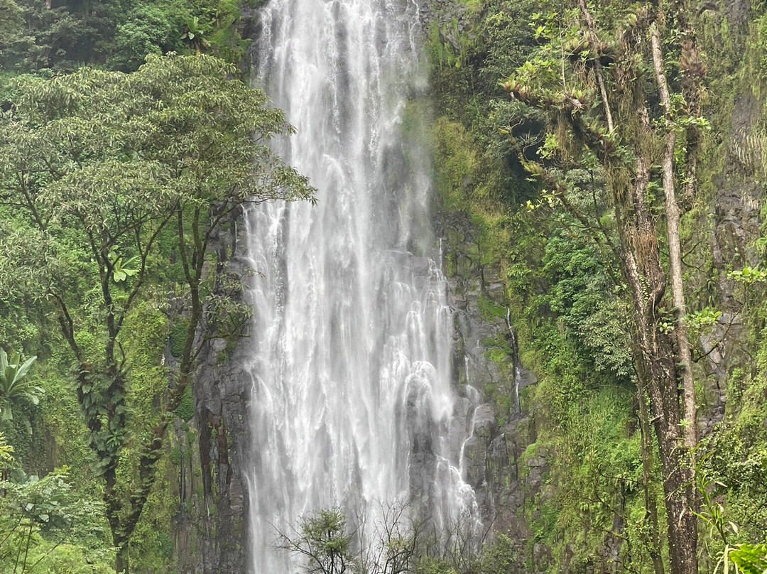 Materuni Waterfalls-Namro必去景点