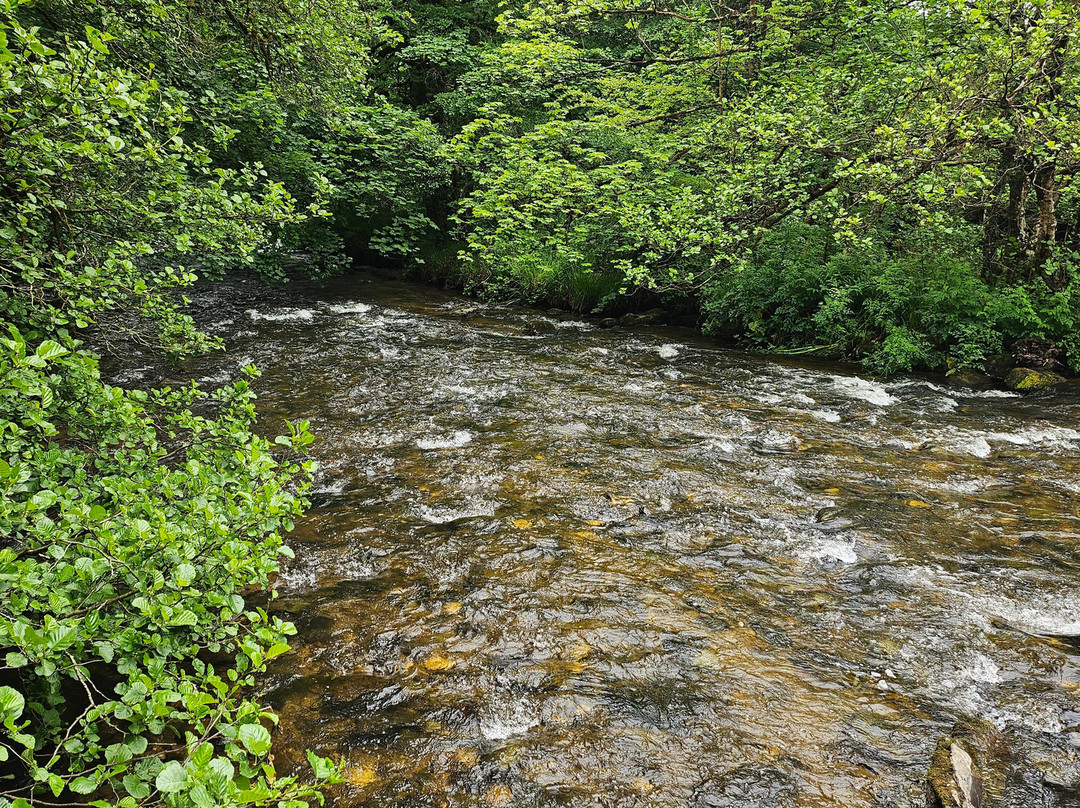 Pine Lodge Riding On Exmoor-Dulverton必去景点