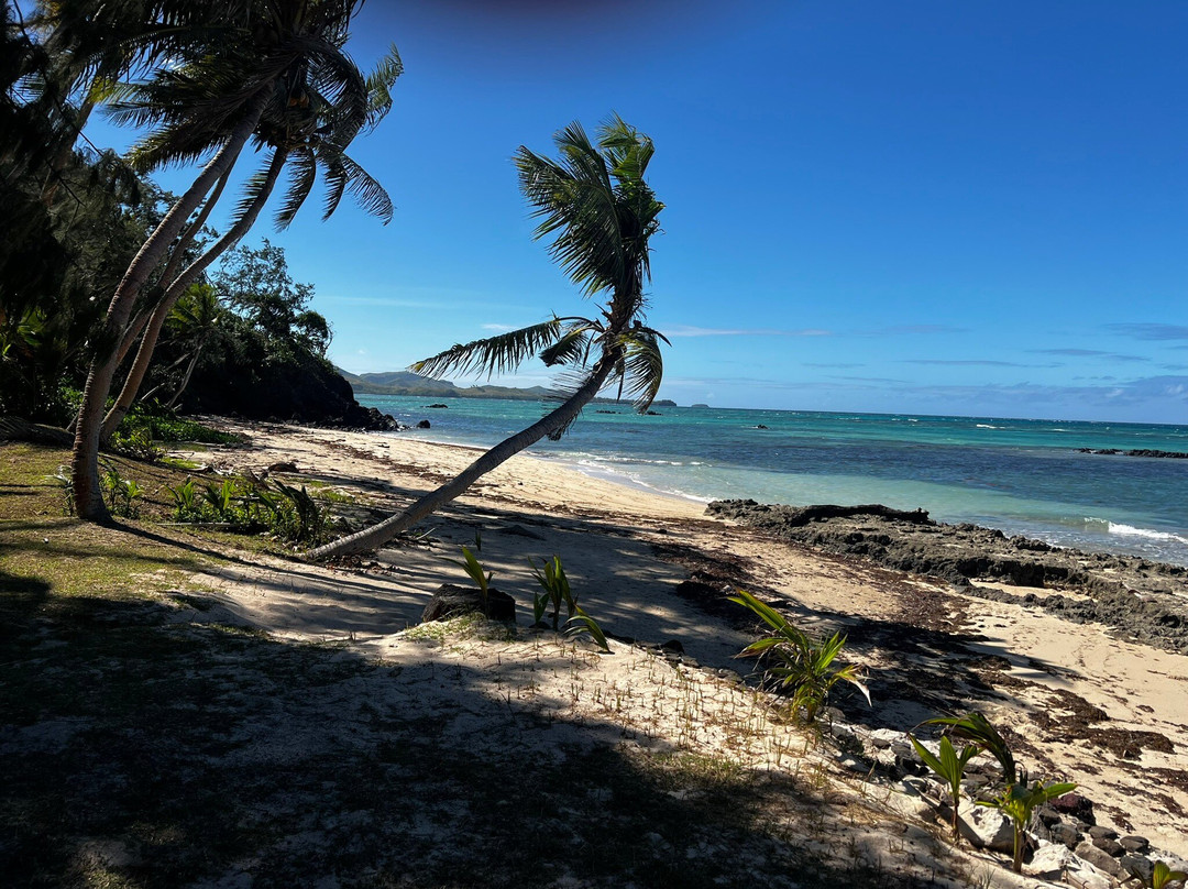 Turtle Island Fiji主图