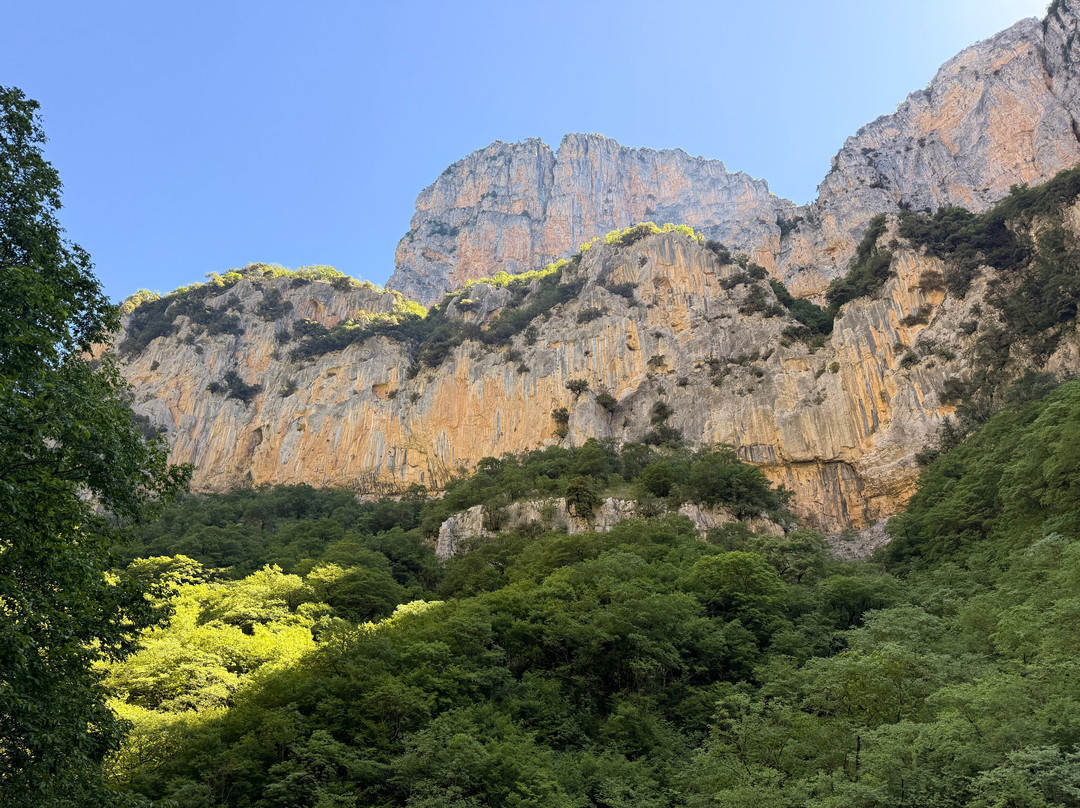 TAXI Zagori The MountainVan-Monodendri必去景点
