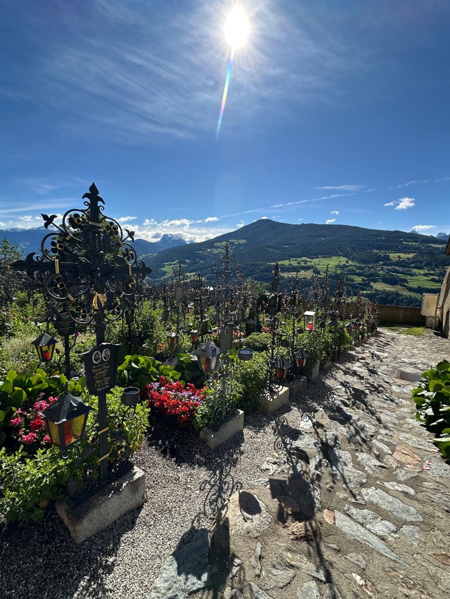 Panorama Hotel Flora-旅行者