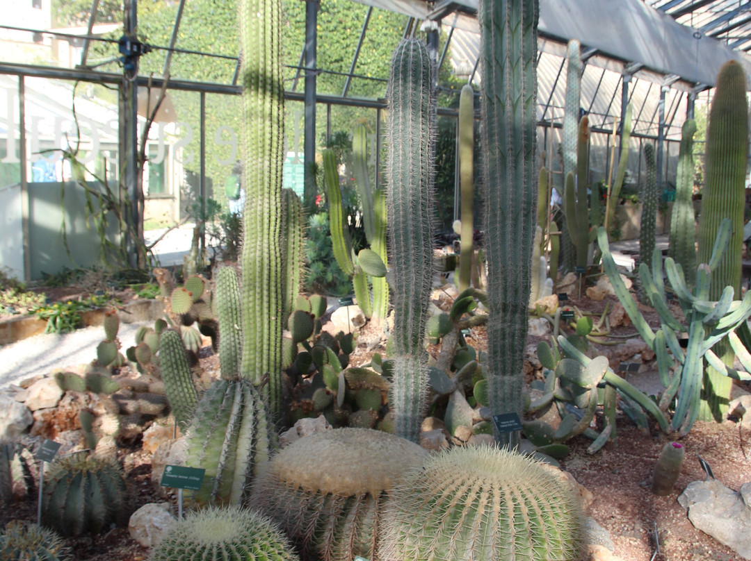 Orto e Museo Botanico di Pisa-比萨必去景点
