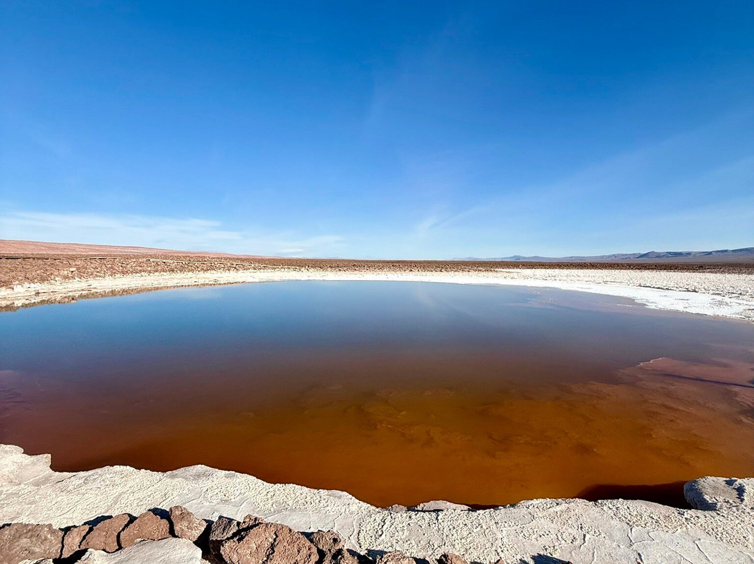 Lagunas Baltinache-圣佩德罗-德阿塔卡马必去景点