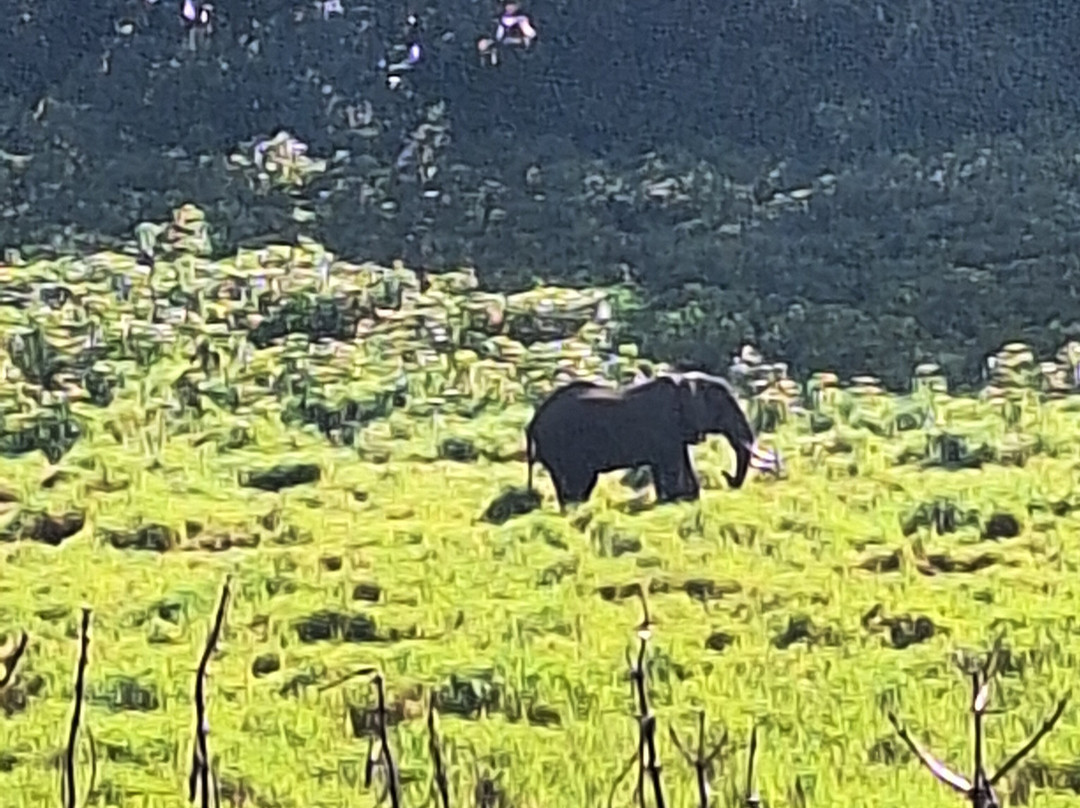 Kenya Wildlife Service-肯尼亚山国家公园必去景点