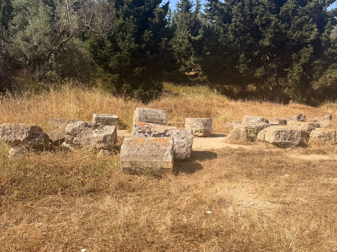 The Acropolis of Rhodes-罗德城必去景点