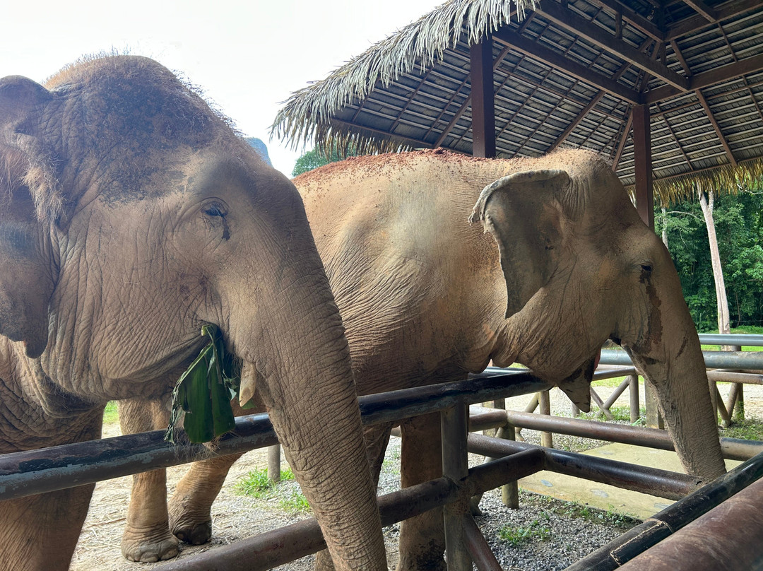 Elephant Hills主图
