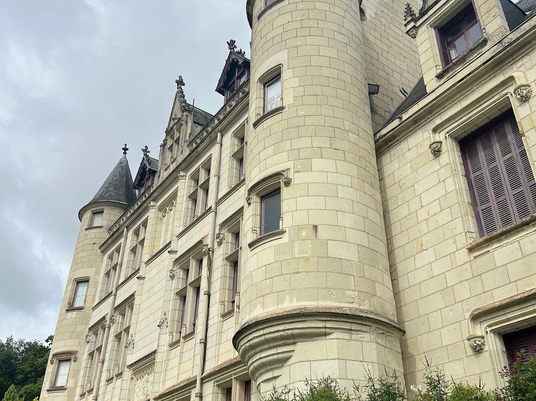 Chateau du Petit Thouars-Saint-Germain-sur-Vienne必去景点