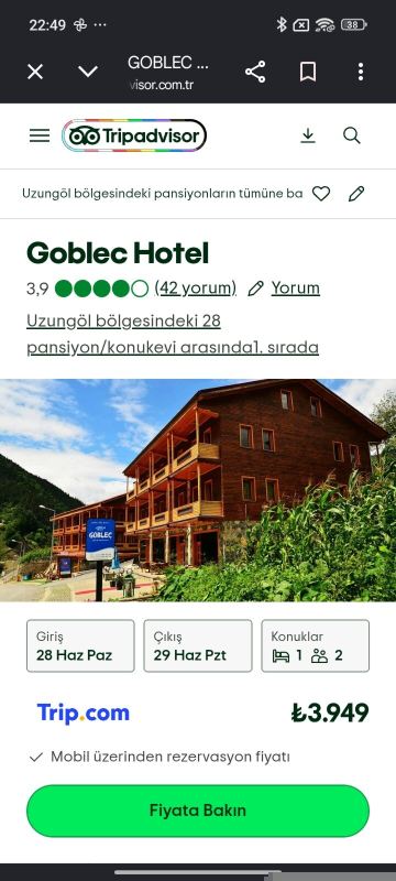 高布莱克酒店-旅行者