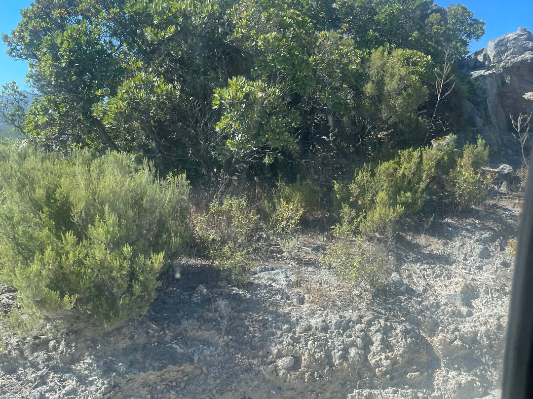 Rando4x4Corse-Brando必去景点
