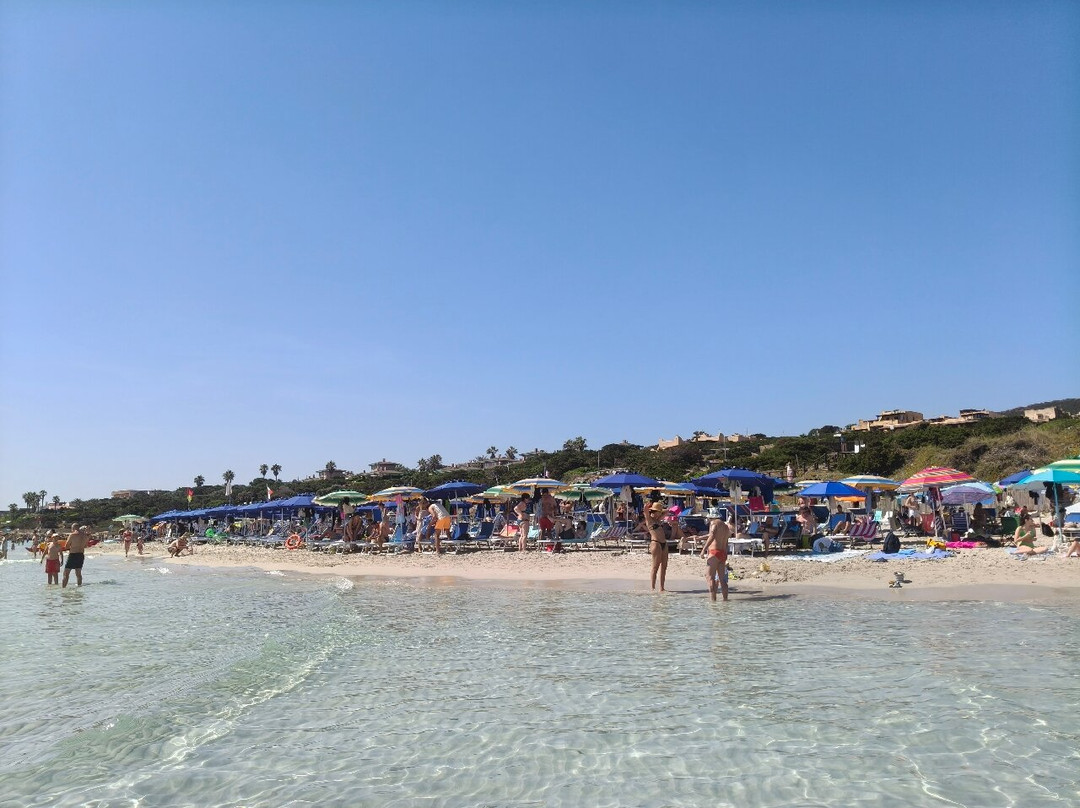 La Pelosa Beach-斯廷蒂诺必去景点