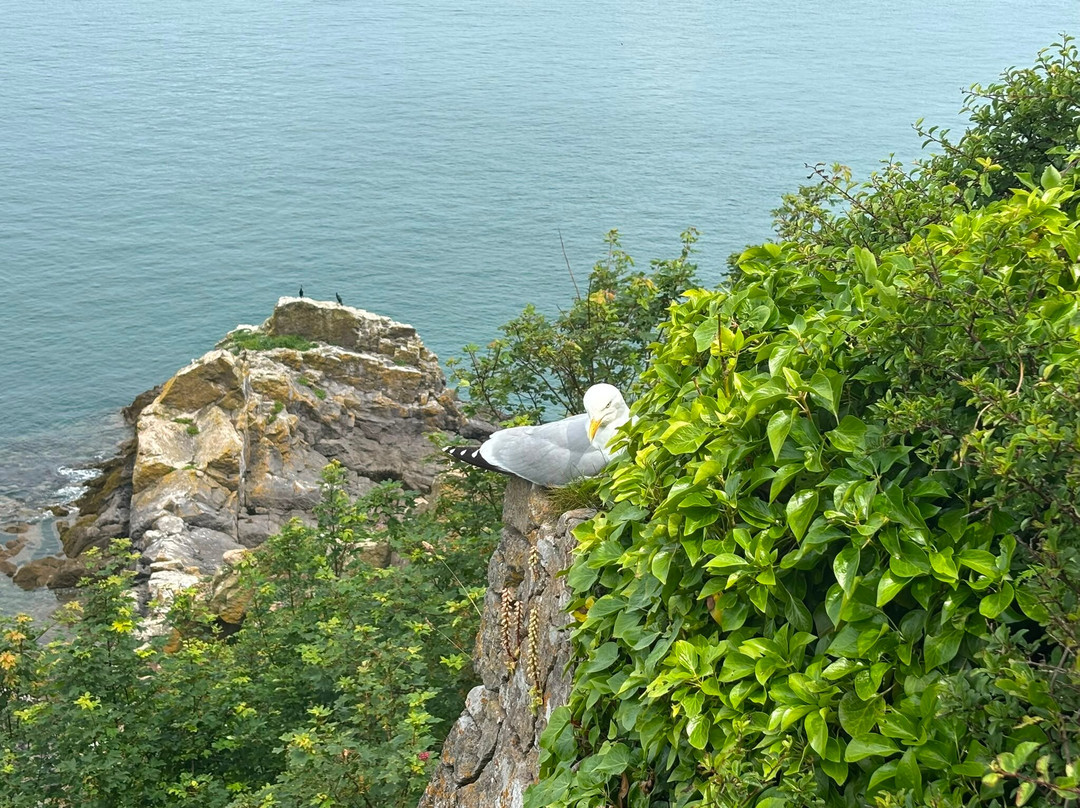 Caldey Abbey-Caldey Island必去景点
