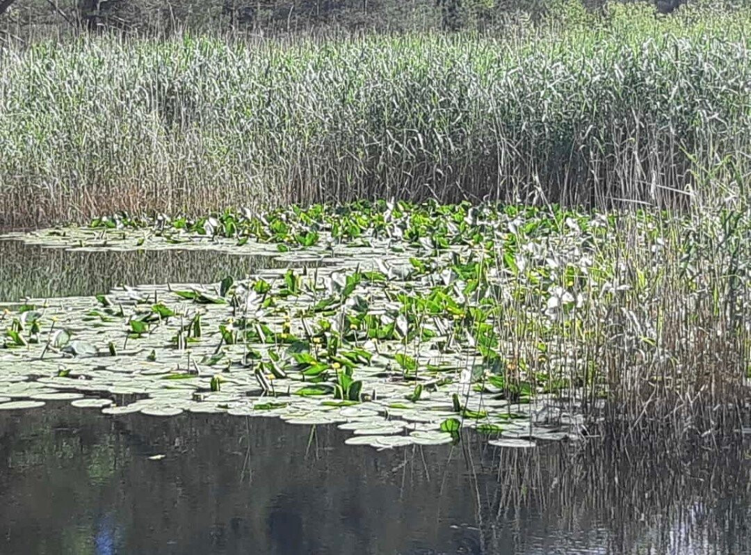 Schontalweiher-Ludwigswinkel必去景点