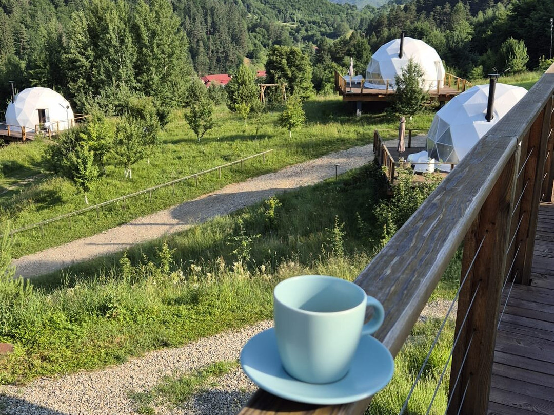 Zenzia Glamping