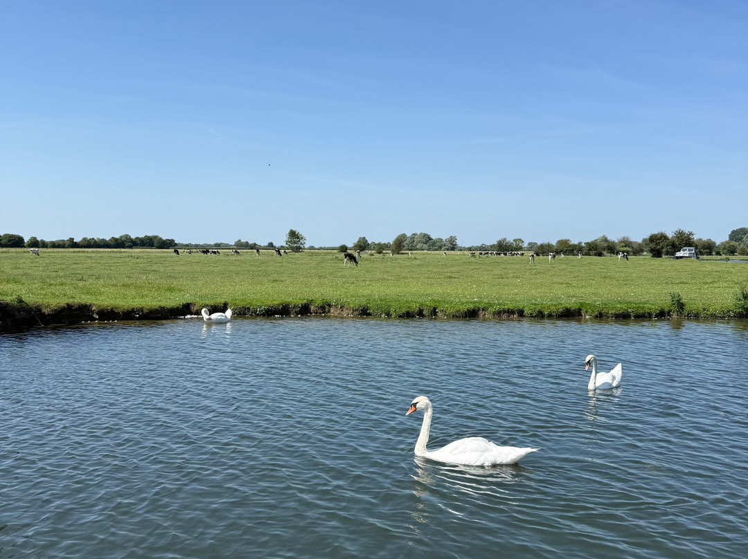 Cotswold Boat Hire Ltd-Buscot必去景点