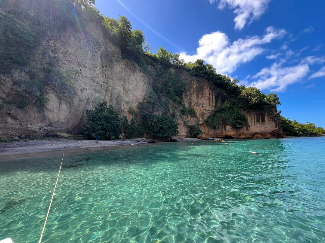 Dominica Water Tours-Scotts Head必去景点