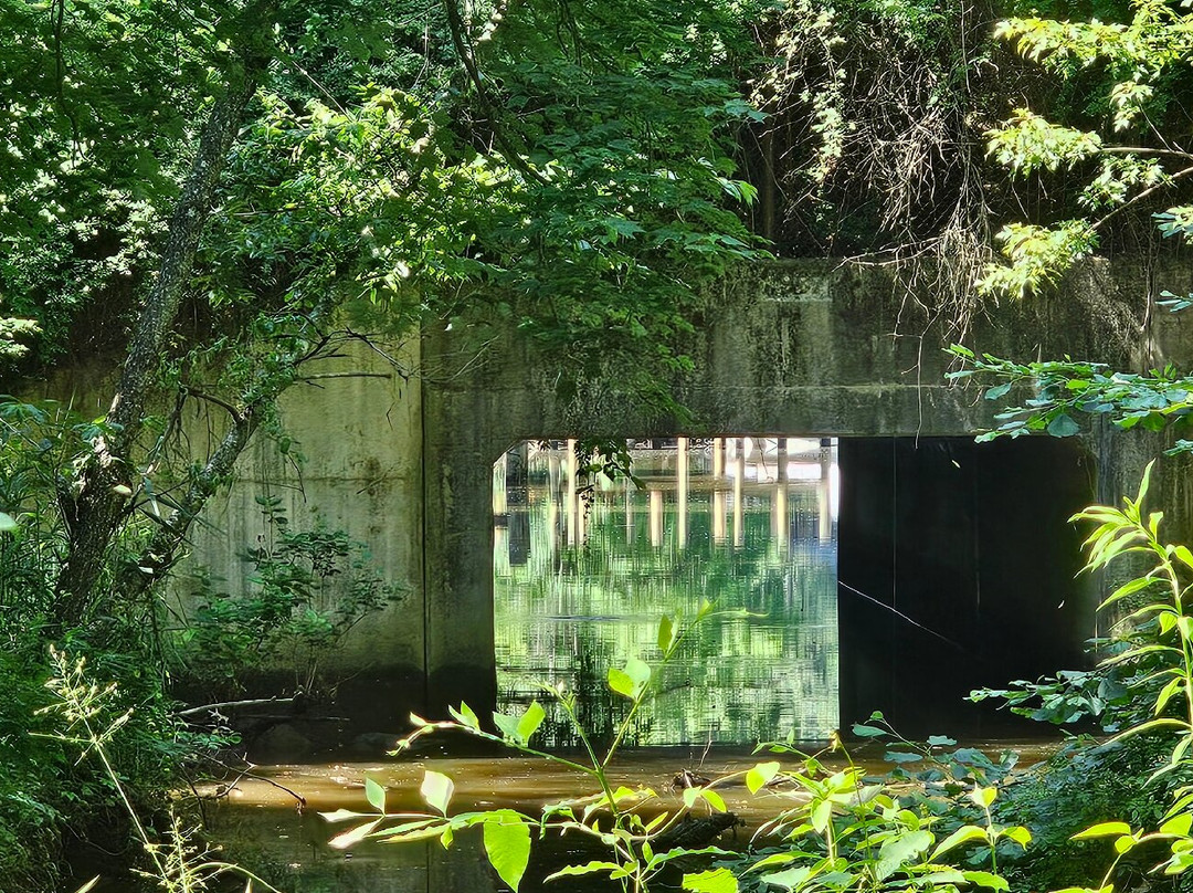 Robert Copenhaver Park-Joppa必去景点