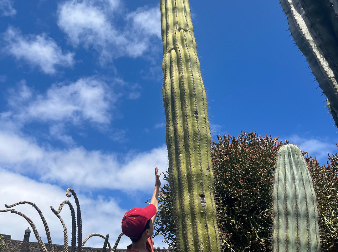 Jardin de Cactus-Guatiza必去景点