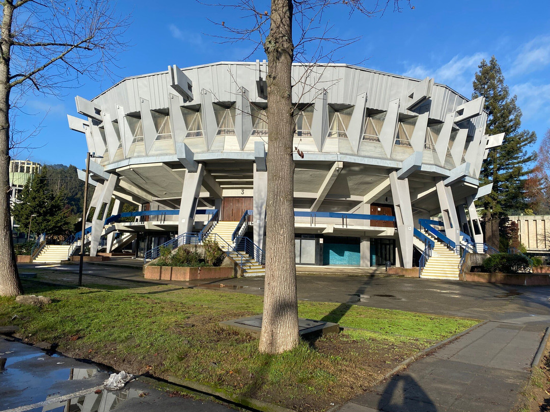 Universidad de Concepcion-康塞普西翁必去景点
