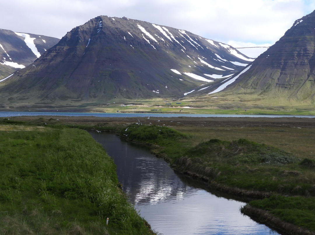 Isafjördur Guide-伊萨菲厄泽必去景点