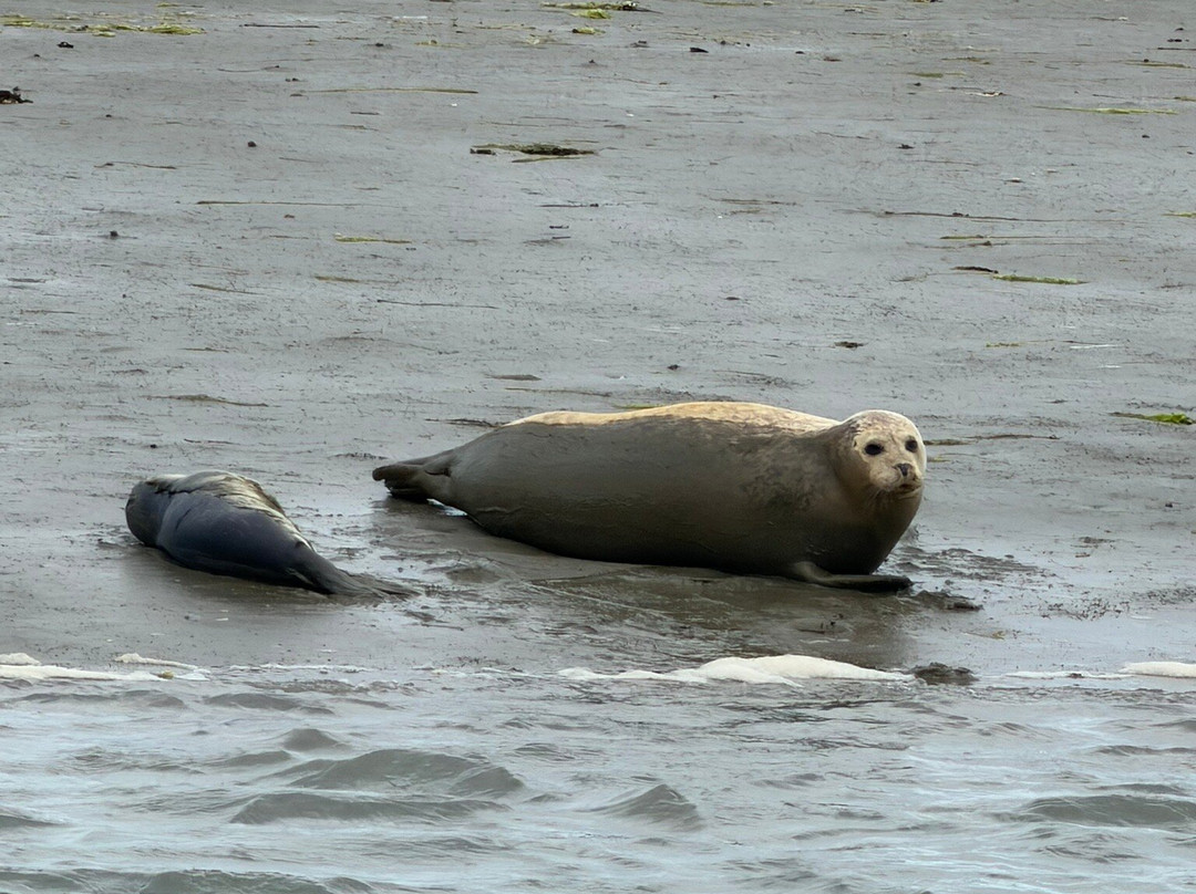 Chichester Harbour Water Tours-West Itchenor必去景点