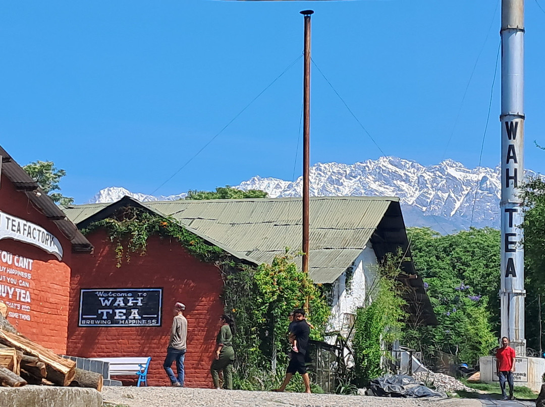 The Lodge at Wah, Palampur主图