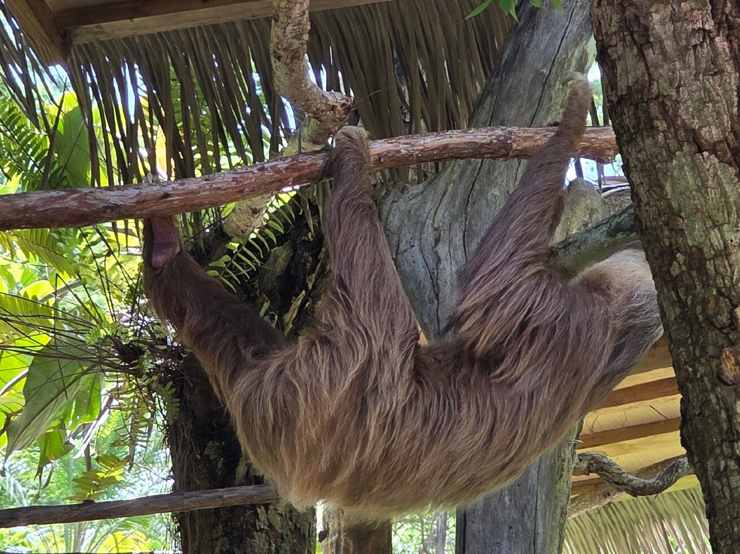 Diamante Eco Adventure Park-Playa Matapalo必去景点