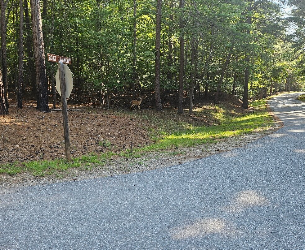 Lake Norman State Park-Troutman必去景点