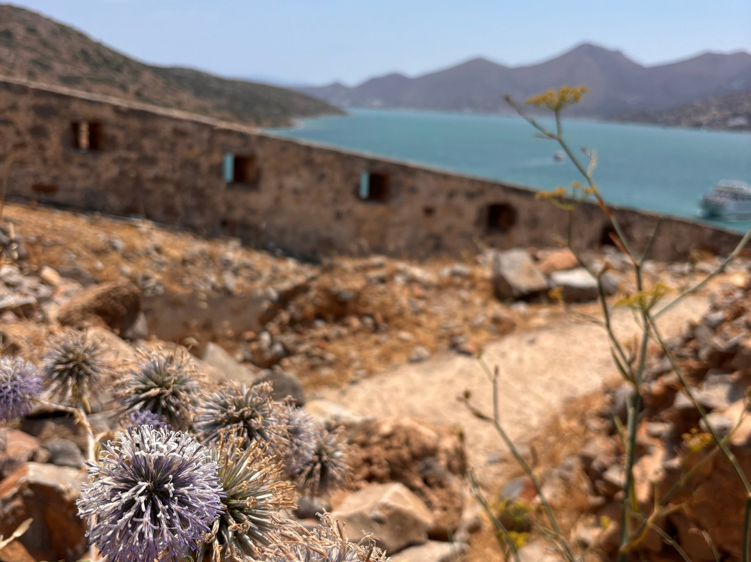 Stefanos Tours-Sissi必去景点