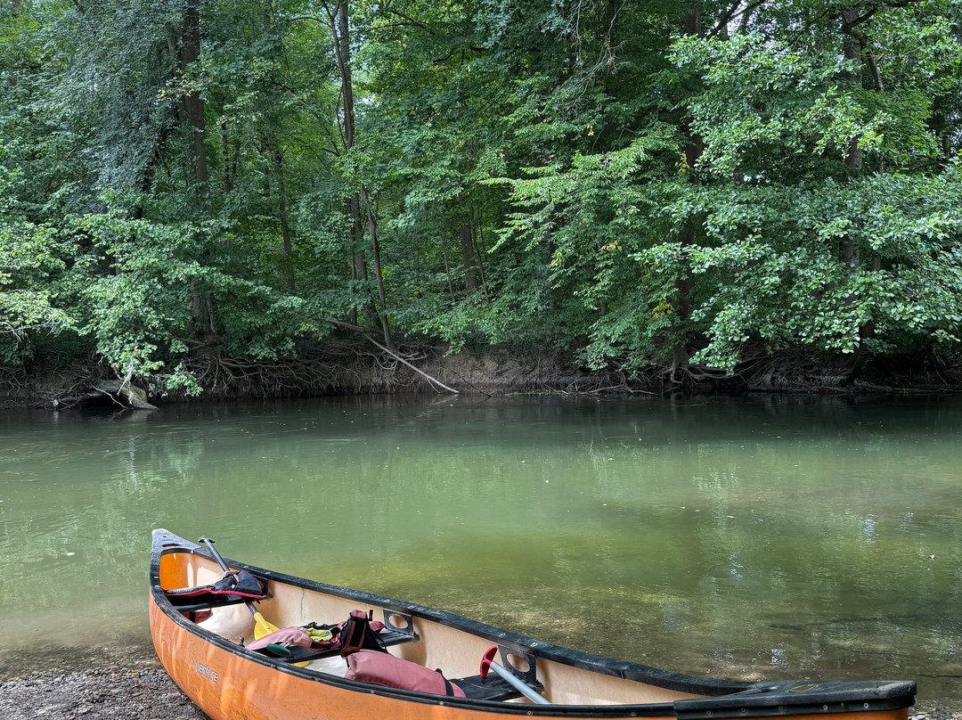 Les Canoes du Ried-塞勒斯塔必去景点