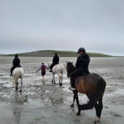 Moycullen Riding Centre-Moycullen必去景点