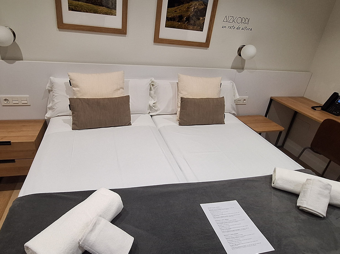 Hotel Ordizia主图